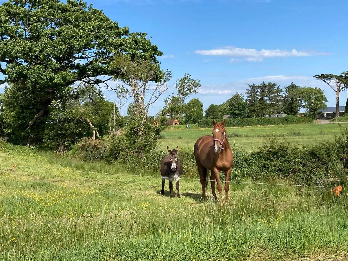 Farmyard Lane Glamping Hotel Killarney Ireland