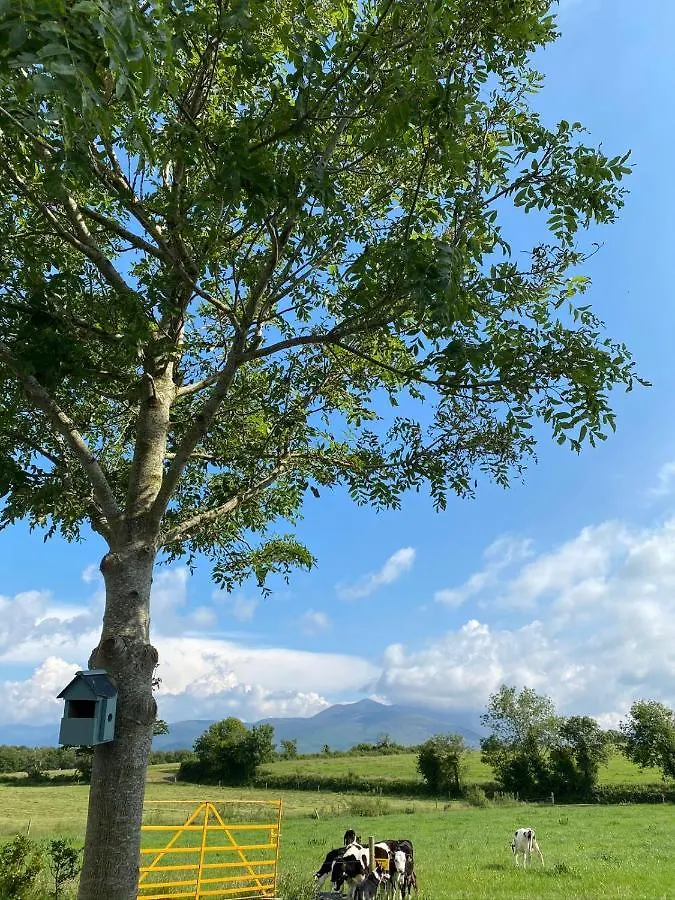 Hotel Farmyard Lane Glamping Killarney